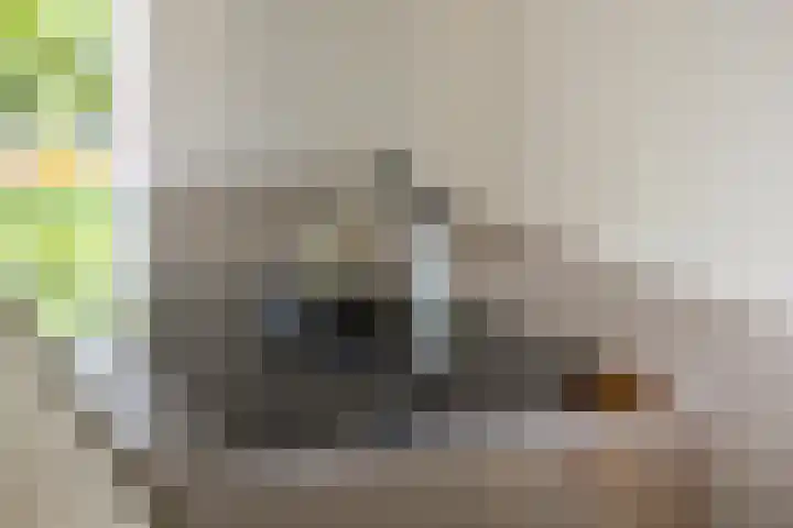 Ketsheuvel 36 Renkum thumbnail 21