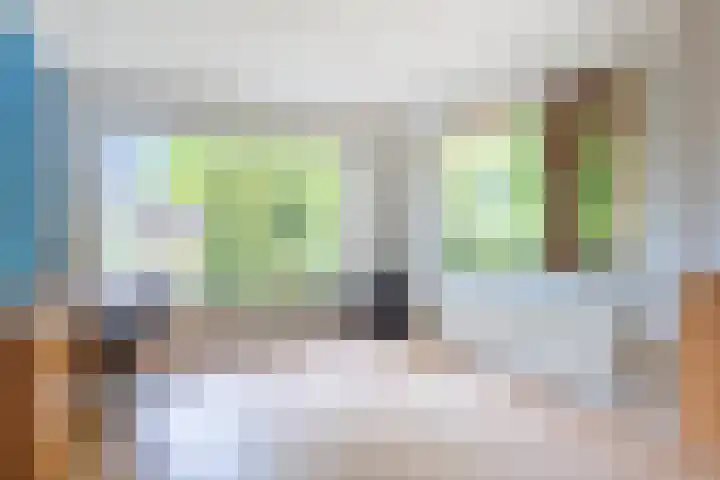 Ketsheuvel 36 Renkum thumbnail 23