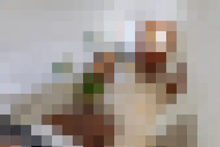 Ketsheuvel 36 Renkum thumbnail 24