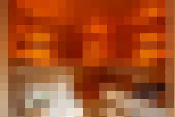 Ketsheuvel 36 Renkum thumbnail 36