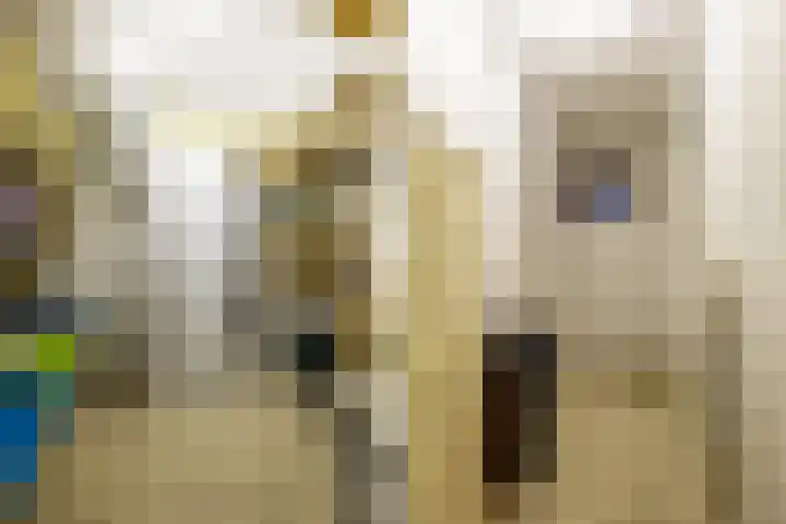 Ketsheuvel 36 Renkum thumbnail 38