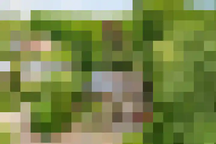 Ketsheuvel 36 Renkum thumbnail 4