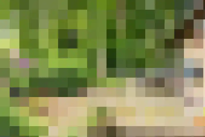 Ketsheuvel 36 Renkum thumbnail 42