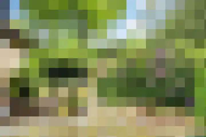 Ketsheuvel 36 Renkum thumbnail 43