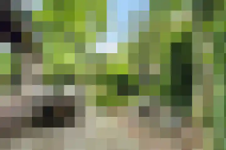 Ketsheuvel 36 Renkum thumbnail 44