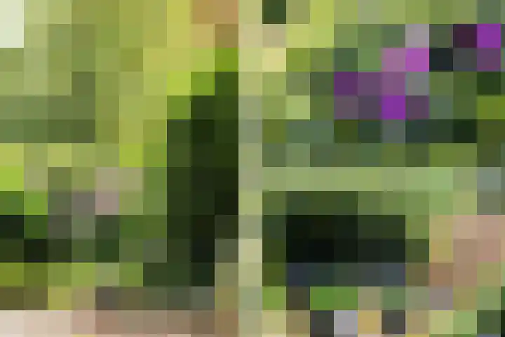 Ketsheuvel 36 Renkum thumbnail 45