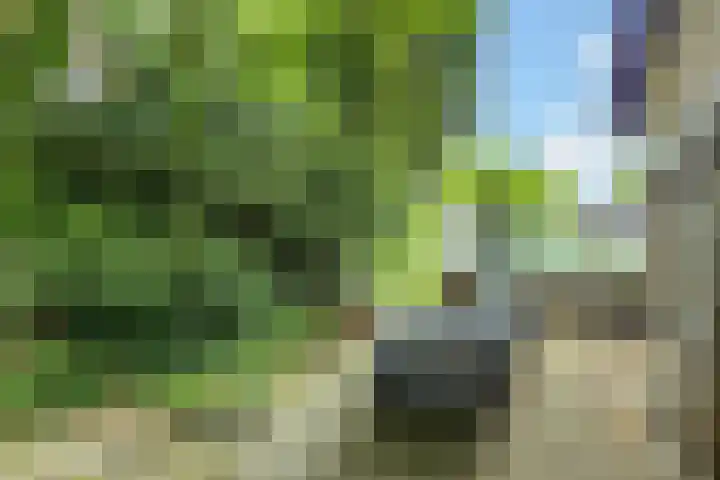 Ketsheuvel 36 Renkum thumbnail 47