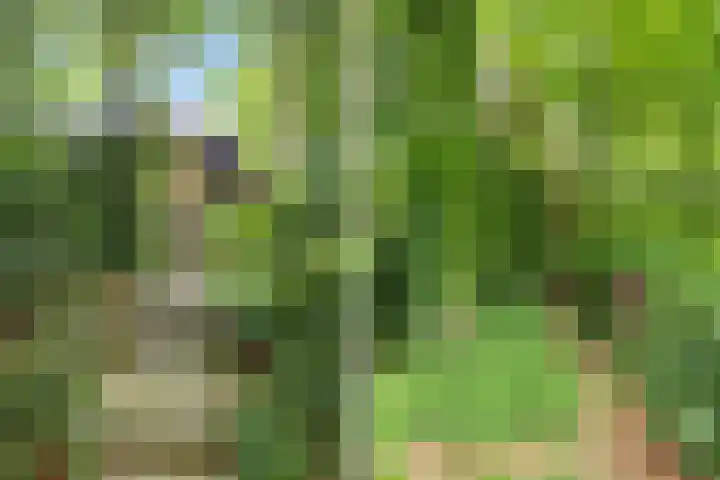 Ketsheuvel 36 Renkum thumbnail 48
