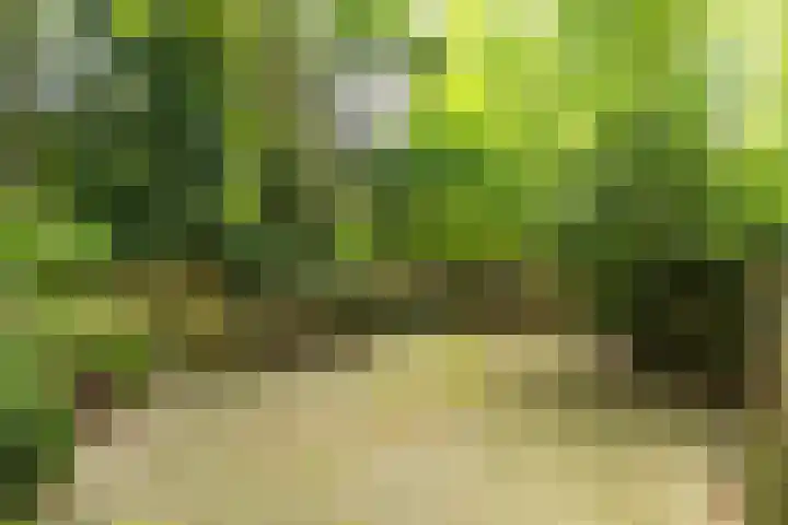 Ketsheuvel 36 Renkum thumbnail 49