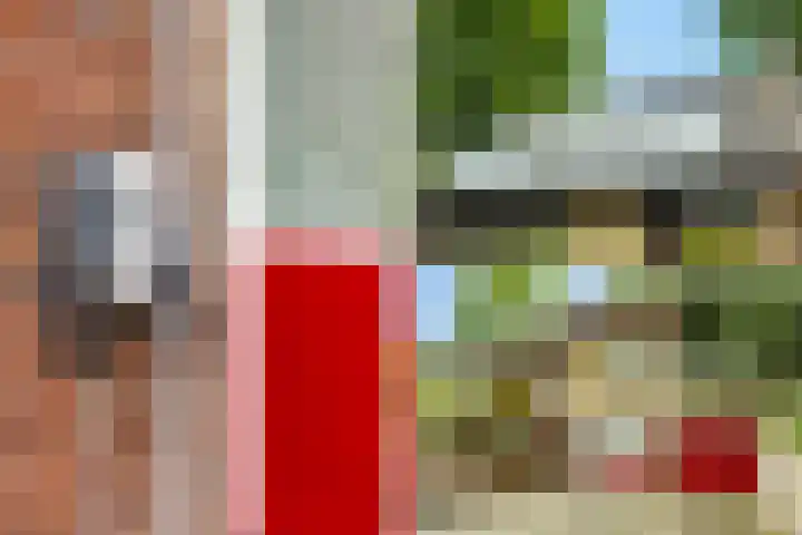 Ketsheuvel 36 Renkum thumbnail 5