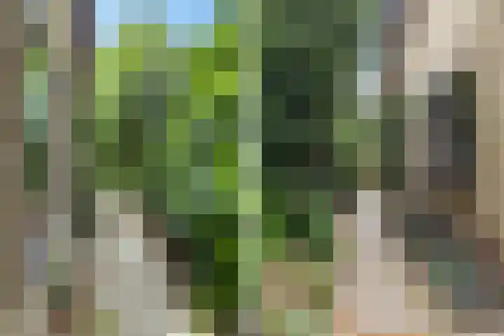 Ketsheuvel 36 Renkum thumbnail 50