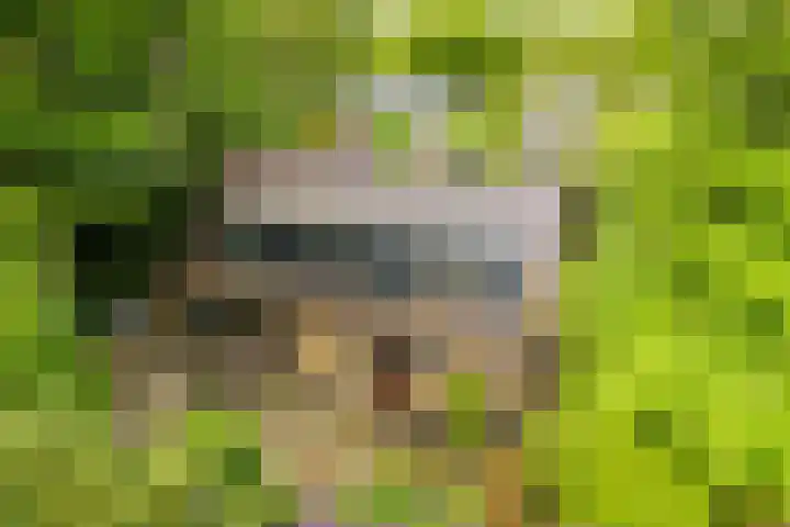 Ketsheuvel 36 Renkum thumbnail 51