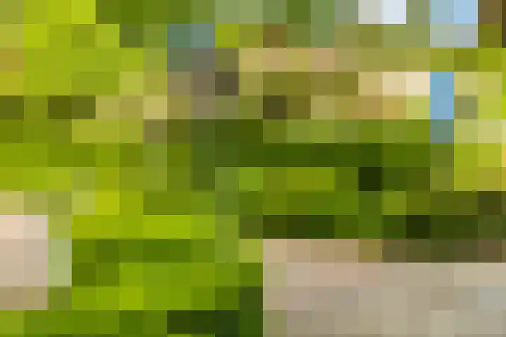 Ketsheuvel 36 Renkum thumbnail 52