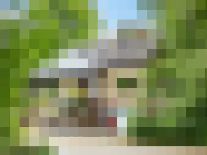 Ketsheuvel 36 Renkum thumbnail 53