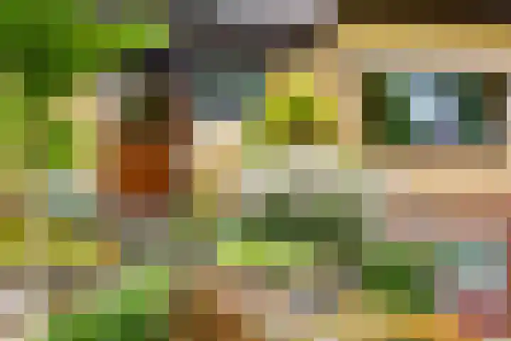 Ketsheuvel 36 Renkum thumbnail 6