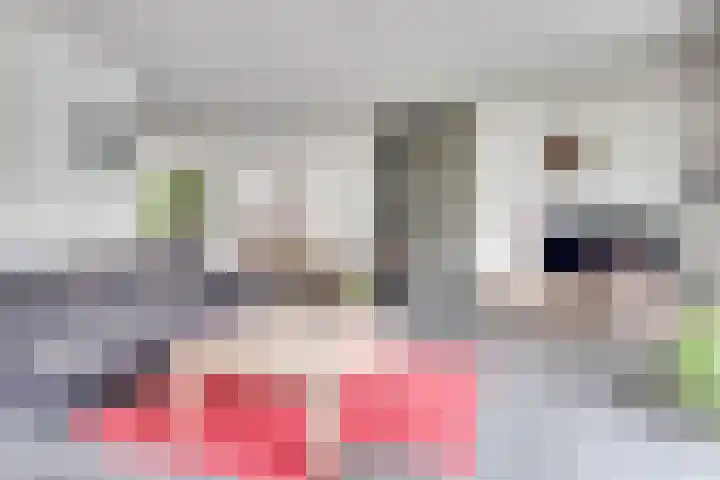 Ketsheuvel 4 Heeze thumbnail 10