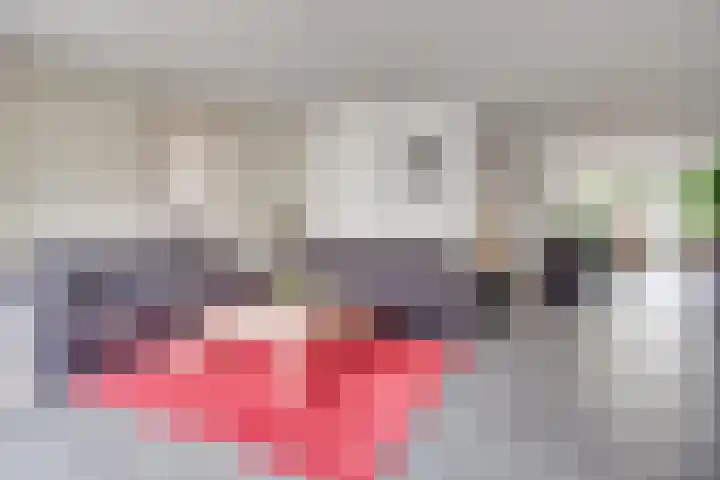 Ketsheuvel 4 Heeze thumbnail 11