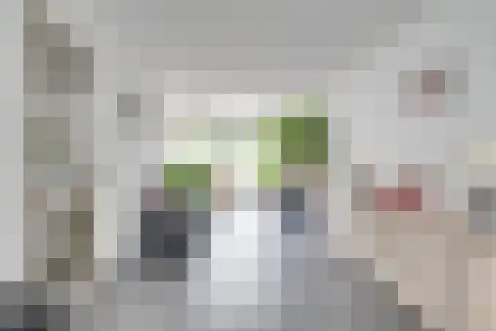 Ketsheuvel 4 Heeze thumbnail 13