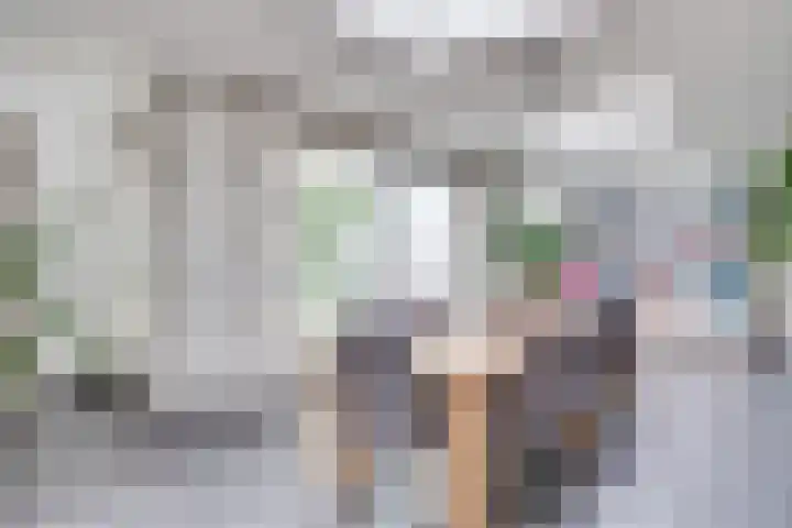 Ketsheuvel 4 Heeze thumbnail 20