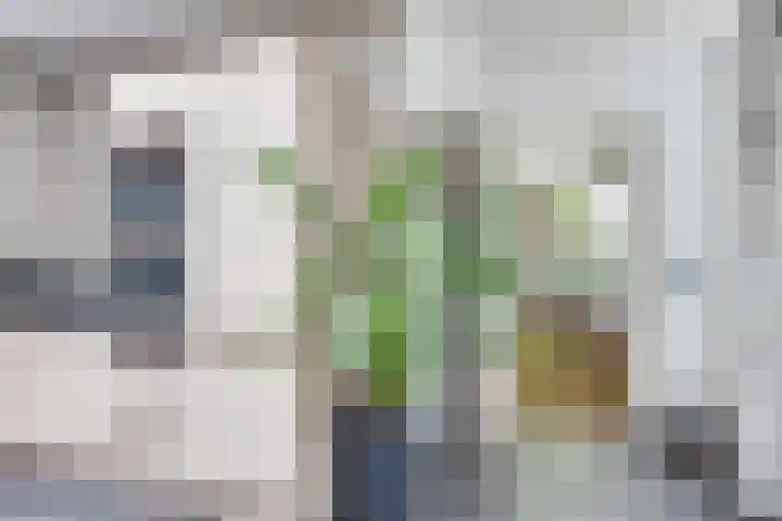 Ketsheuvel 4 Heeze thumbnail 22