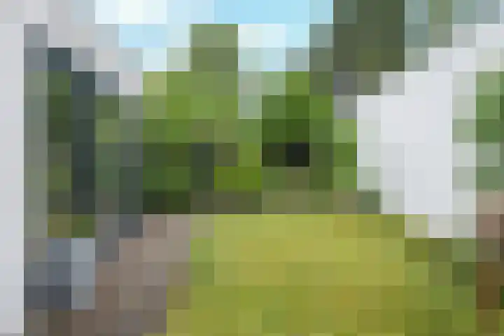 Ketsheuvel 4 Heeze thumbnail 42