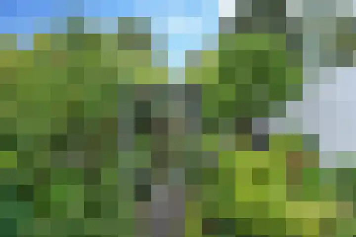Ketsheuvel 4 Heeze thumbnail 43