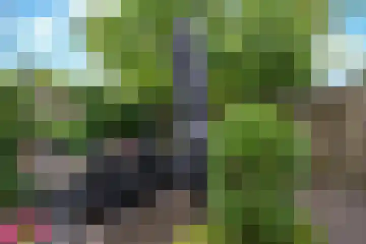 Ketsheuvel 4 Heeze thumbnail 44