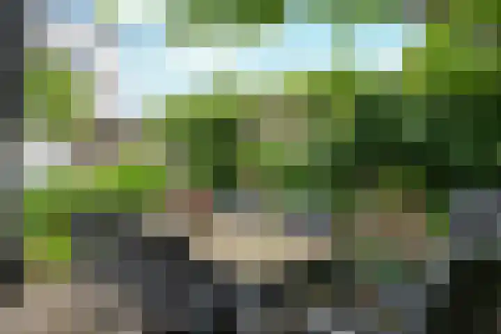 Ketsheuvel 4 Heeze thumbnail 45