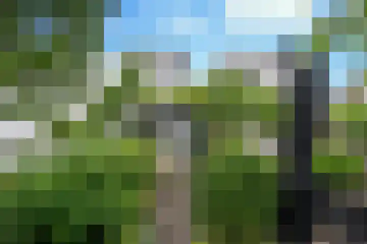 Ketsheuvel 4 Heeze thumbnail 46