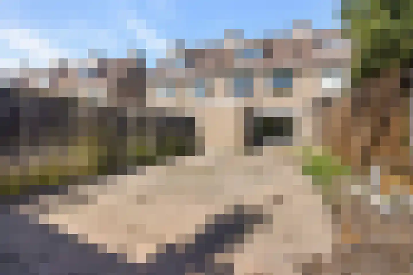 Ketterinkbraak 29 Eibergen thumbnail 28