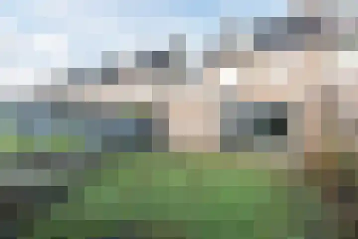 Ketterinkbraak 31 Eibergen thumbnail 36