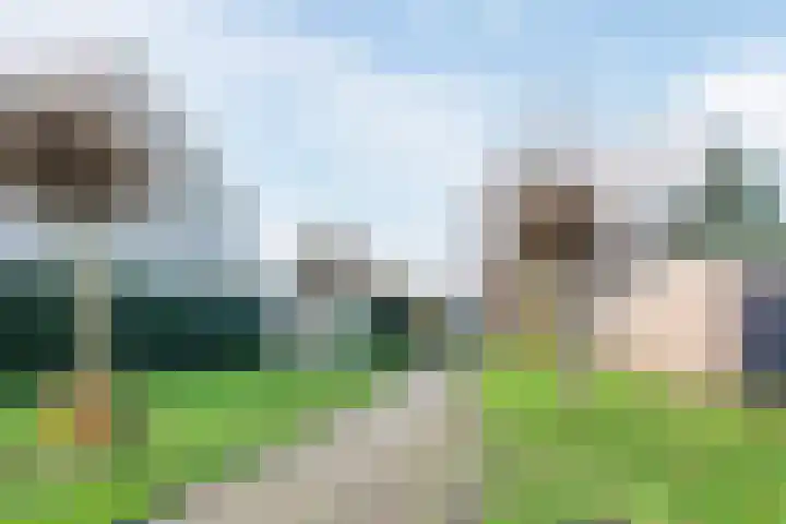 Ketterinkbraak 31 Eibergen thumbnail 39