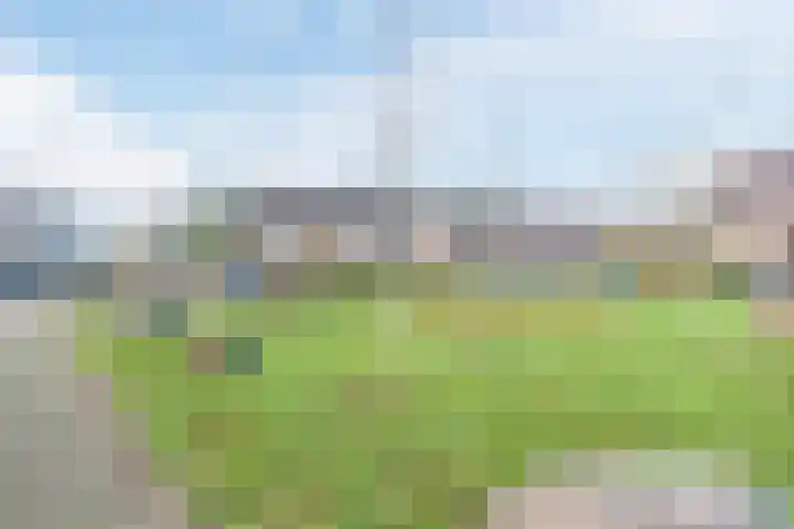 Ketterinkbraak 31 Eibergen thumbnail 40