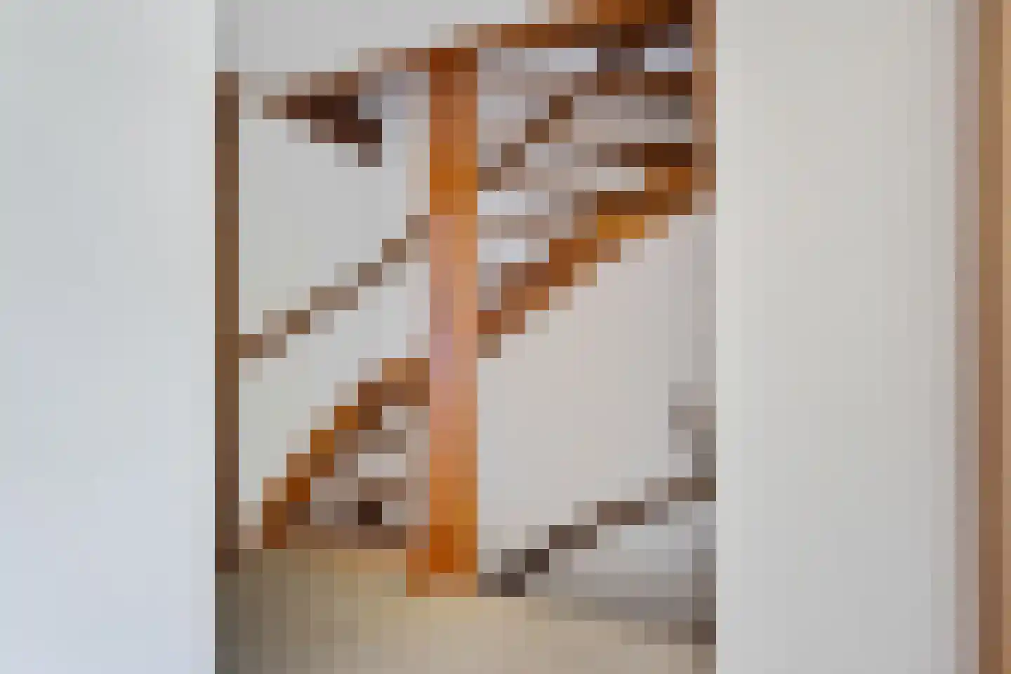Ketterinkbraak 45 Eibergen thumbnail 24