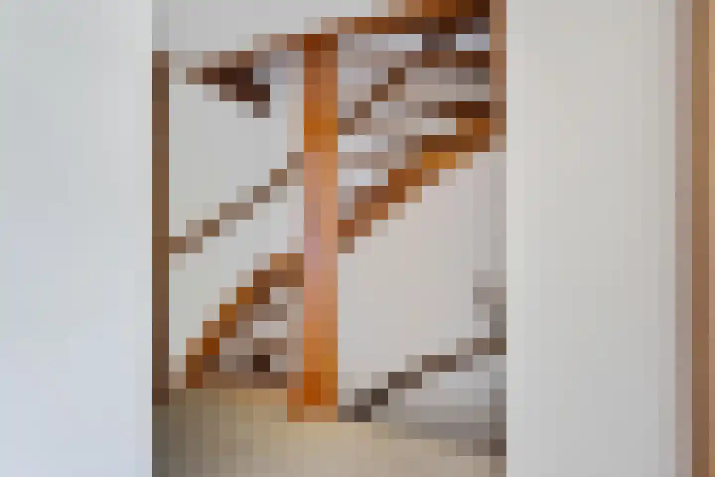 Ketterinkbraak 45 Eibergen thumbnail 25