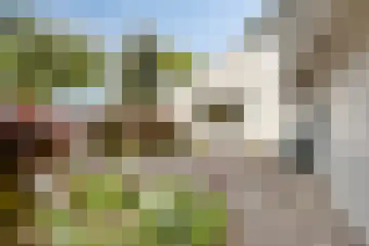 Ketting 1 Heerenveen thumbnail 39