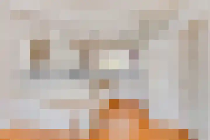 Ketting 1 Heerenveen thumbnail 4