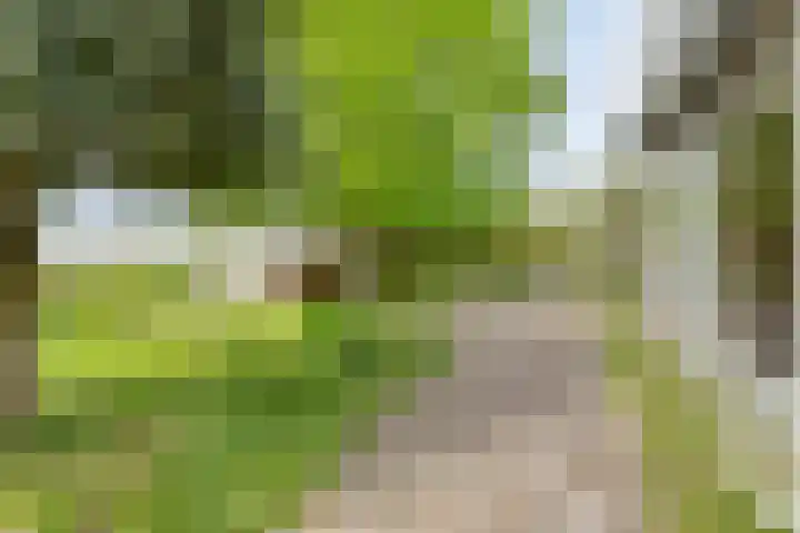 Ketting 1 Heerenveen thumbnail 42