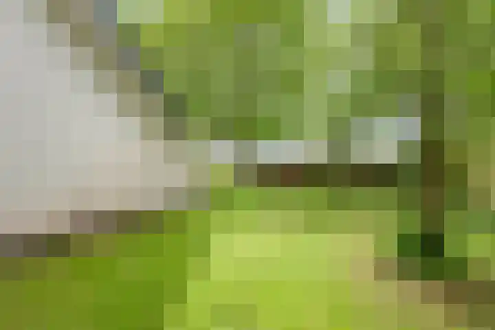 Ketting 1 Heerenveen thumbnail 44