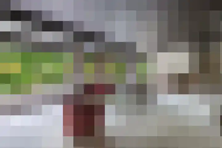 Ketting 19 Heerenveen thumbnail 10