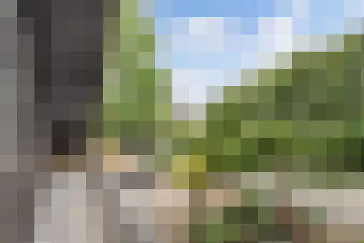 Ketting 19 Heerenveen thumbnail 31