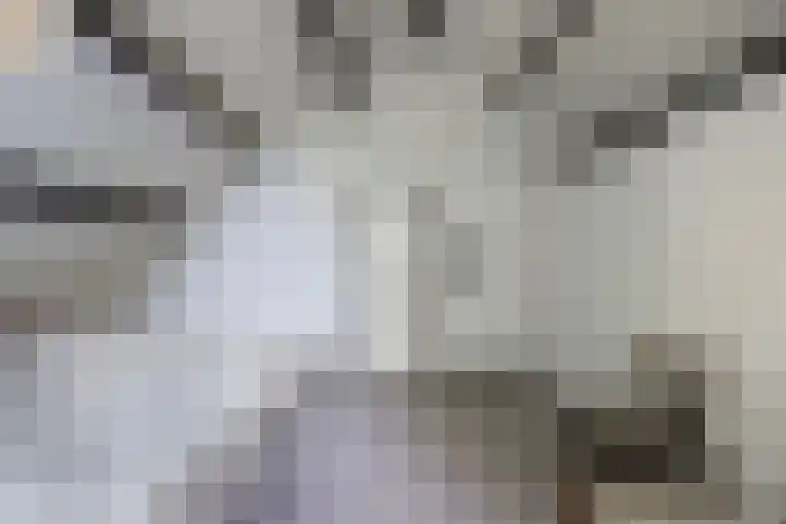 Ketting 19 Heerenveen thumbnail 35