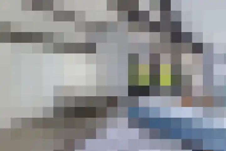 Ketting 19 Heerenveen thumbnail 36