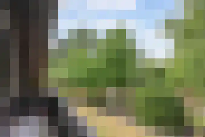 Ketting 19 Heerenveen thumbnail 37