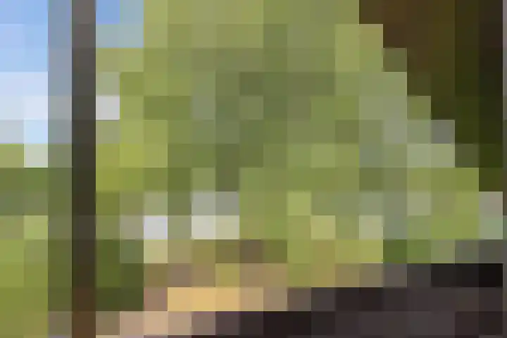 Ketting 19 Heerenveen thumbnail 38