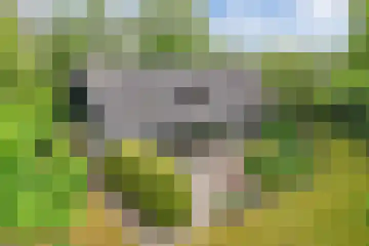 Ketting 19 Heerenveen thumbnail 4