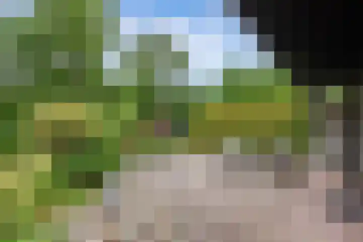 Ketting 19 Heerenveen thumbnail 42