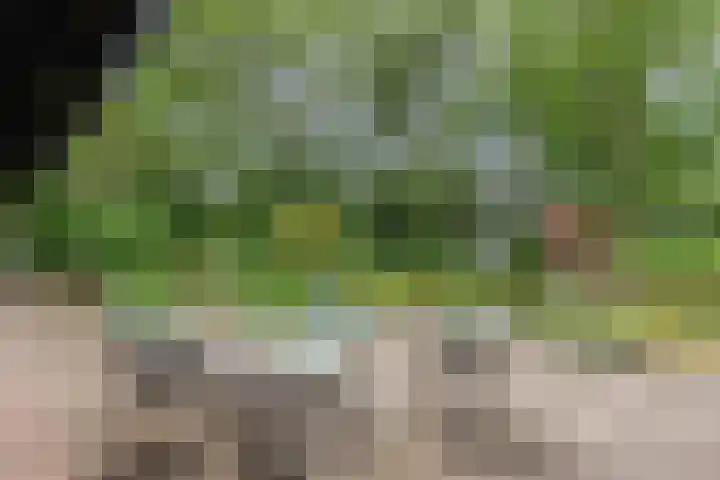 Ketting 19 Heerenveen thumbnail 43