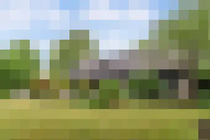 Ketting 19 Heerenveen thumbnail 46