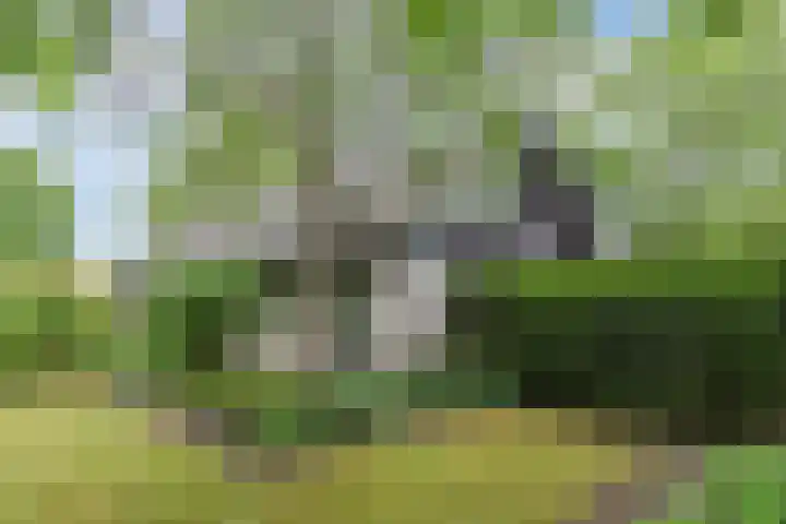 Ketting 19 Heerenveen thumbnail 47